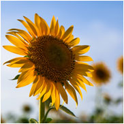 任意整理・破産・個人再生